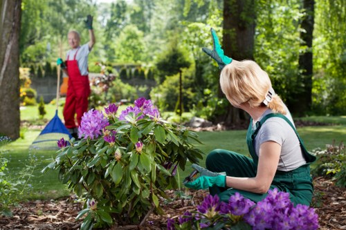 Gardener pruning shrubs in Southwark garden