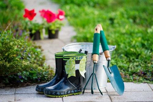 Professional tree lopping service in Southwark