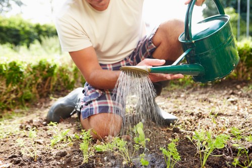 Choosing a reliable lawn mowing service in Southwark