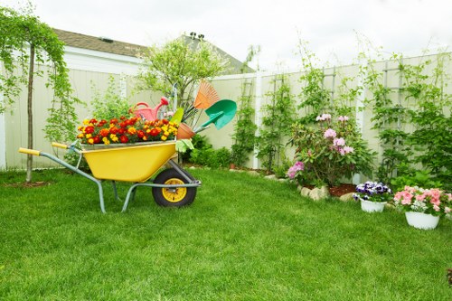 Safe tree removal process in Southwark