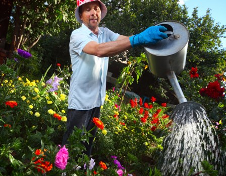 A man wearing a straw hat, a light blue shirt, and blue gardening gloves is watering a vibrant garden bed in an outdoor space. The garden features a variety of colorful flowers, including red, pink, yellow, and purple blooms, set among lush green foliage. The scene is illuminated by natural daylight, with a backdrop of tall trees and clear skies, creating a bright and inviting atmosphere. The man is standing on a well-maintained grassy area, and the water from the watering can is visibly splashing onto the plants. This outdoor garden is part of a landscaped yard, likely maintained by professional gardening services, with distinct flower borders and healthy plant growth. The overall setting highlights the importance of regular watering and plant care in creating a vibrant, lush garden in Southwark, supporting services like lawn and garden maintenance for residential or commercial outdoor spaces.
