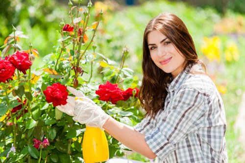 Professional clearing garden debris in Southwark