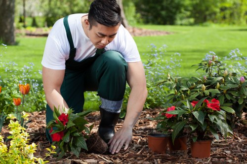 Transformed garden by Southwark gardening services