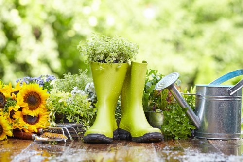 Professional landscaper designing outdoor space