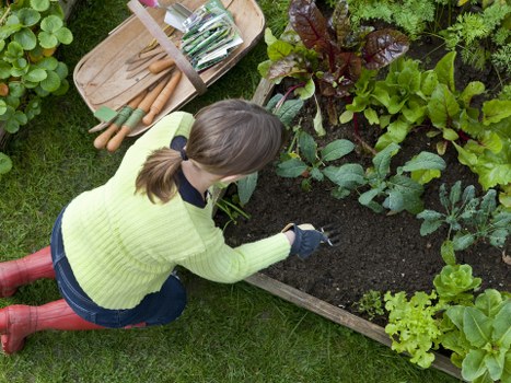 Variety of plants selected for a Southwark landscape garden.